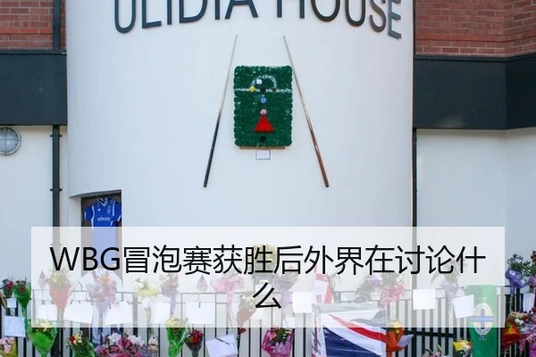 WBG冒泡赛获胜后外界在讨论什么